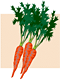 carrots